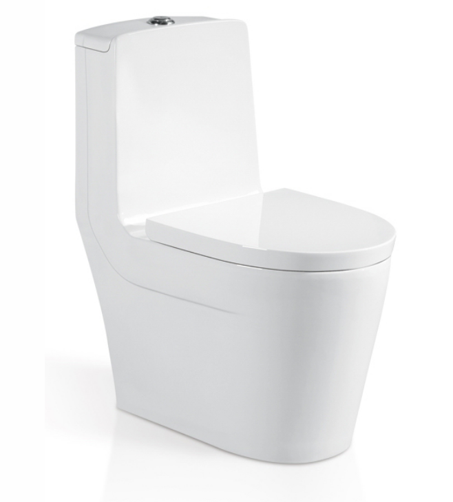 One Piece Toilet With Soft-Closing Seat & Dual Flush System