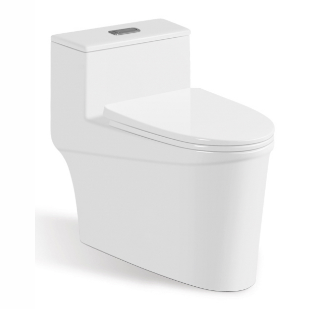 One Piece Toilet With Soft-Closing Seat & Dual Flush System