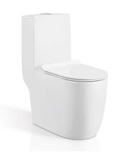 One Piece Toilet With Soft-Closing Seat & Dual Flush System