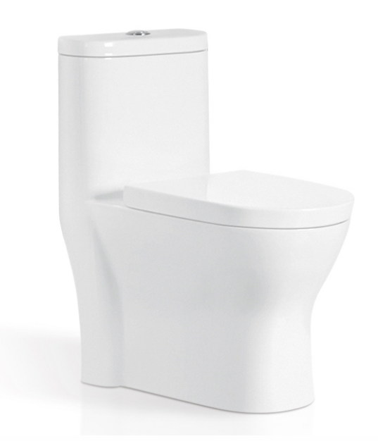 One Piece Toilet With Soft-Closing Seat & Dual Flush System