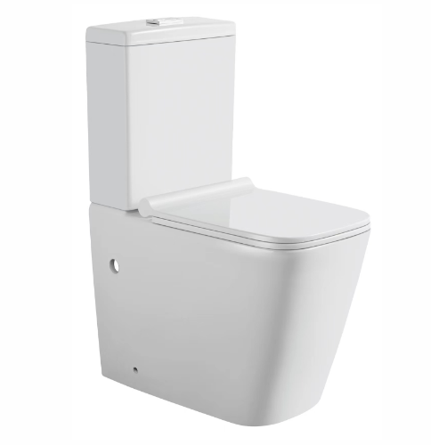 Washdown Rimless Two Piece Toilet