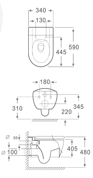 Washdown Wall Hung Toilet