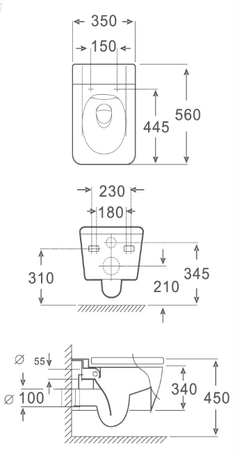 Washdown Wall Hung Toilet