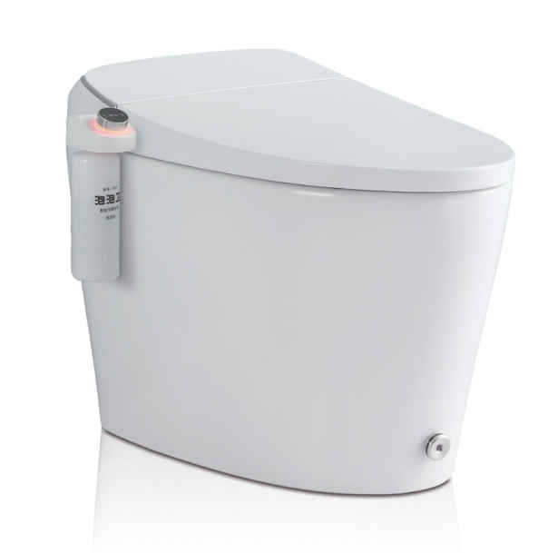 SALLY Smart Toilet