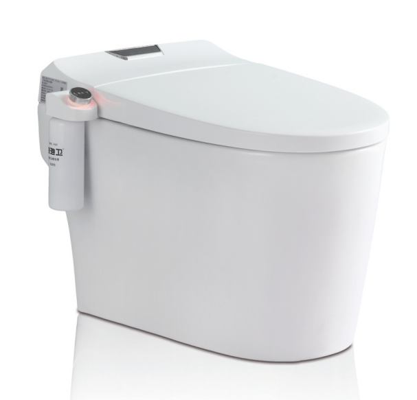 SALLY Smart Toilet