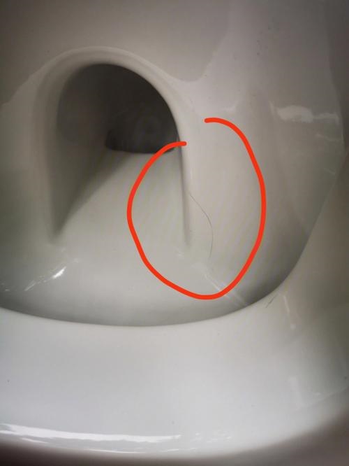 4.Defective Toilet.jpg