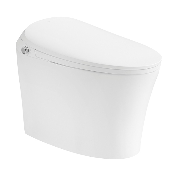 SSWW Smart Toilet