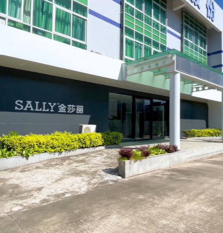 SALLY TECHNOLOGY