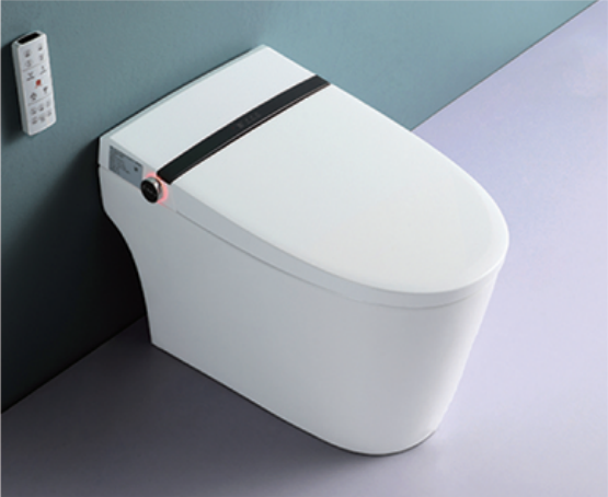 High-end Smart Toilet Factory - SALLY