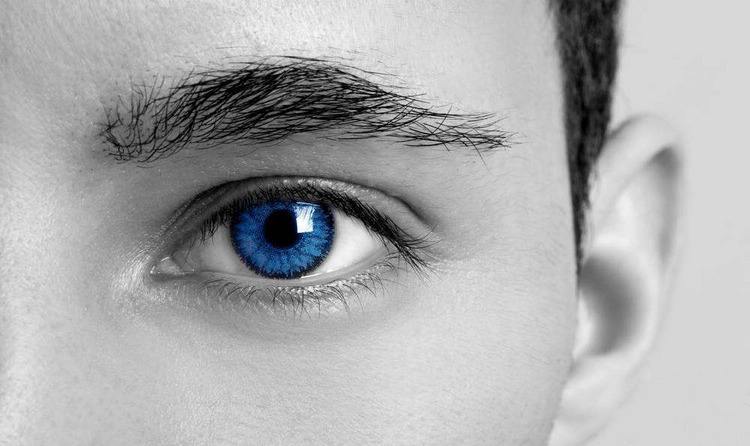 Leaders in Bathroom Innovation: Exploring the Top 10 Shower Enclosure Brands in Chile